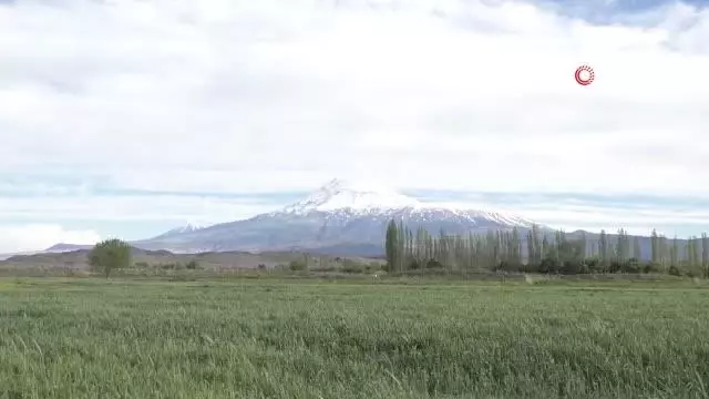 Beyaz örtüyle kaplanan Ağrı Dağı ihtişamıyla göz dolduruyor Beyaz örtüyle kaplanan Ağrı Dağı ihtişamıyla göz dolduruyor