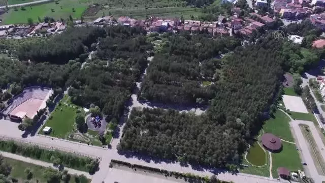 Boş kalan parkta yaşayan sincaplar sakinliğin keyfini çıkardı Boş kalan parkta yaşayan sincaplar sakinliğin keyfini çıkardı