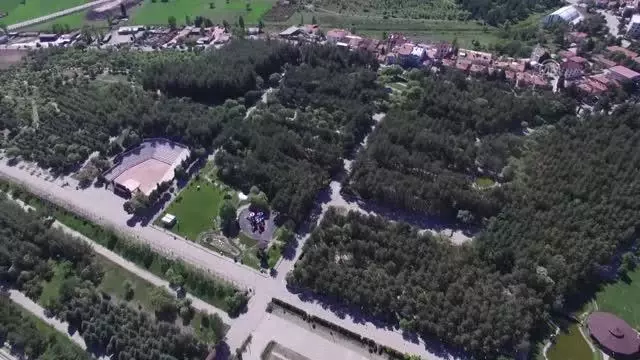 Boş kalan parkta yaşayan sincaplar sakinliğin keyfini çıkardı Boş kalan parkta yaşayan sincaplar sakinliğin keyfini çıkardı