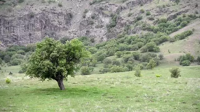 Doğası ve yaban hayatıyla dikkati çeken Tunceli'deki 'Sülüklü Göl' bahar renklerine büründü Doğası ve yaban hayatıyla dikkati çeken Tunceli'deki 'Sülüklü Göl' bahar renklerine büründü