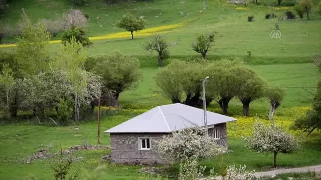 Doğası ve yaban hayatıyla dikkati çeken Tunceli'deki 'Sülüklü Göl' bahar renklerine büründü Doğası ve yaban hayatıyla dikkati çeken Tunceli'deki 'Sülüklü Göl' bahar renklerine büründü