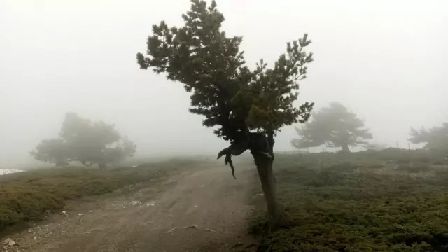 Dünya rekortmeni, Murat Dağı'nda Dünya rekortmeni, Murat Dağı'nda