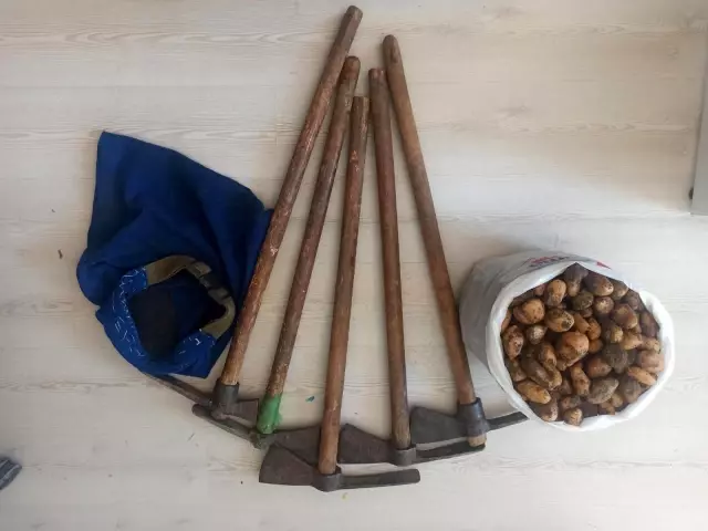 Kısıtlamayı ihlal edip, salep soğanı toplayan 5 kişiye ceza yağdı Kısıtlamayı ihlal edip, salep soğanı toplayan 5 kişiye ceza yağdı