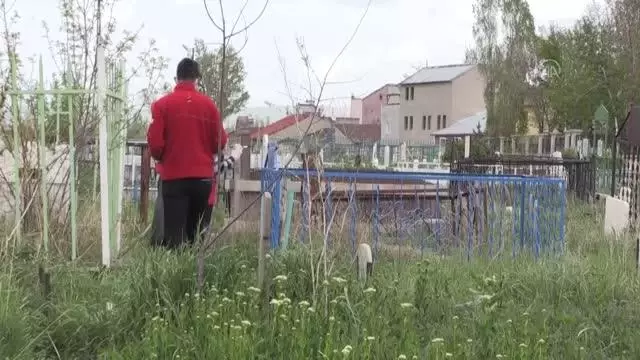 Kızılay gönüllüleri mezarları onarıp çevre temizliği yaptı Kızılay gönüllüleri mezarları onarıp çevre temizliği yaptı