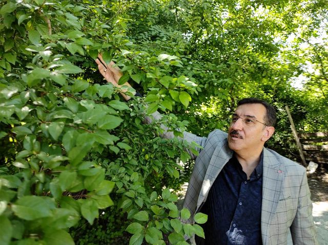 malatya milletvekili bulent tufenkci den isra 2 14128580 o