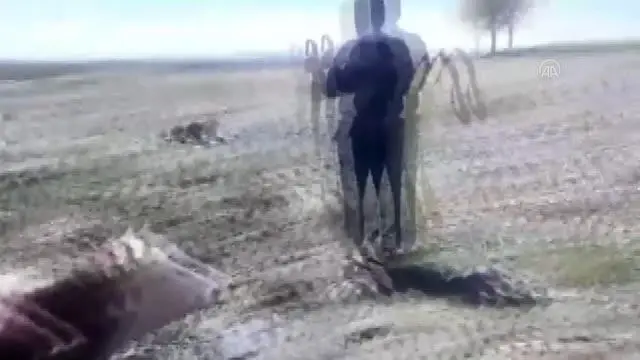 Nehrin kenarında çamura saplanan 2 ineği itfaiye kurtardı Nehrin kenarında çamura saplanan 2 ineği itfaiye kurtardı