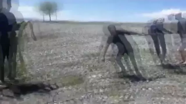 Nehrin kenarında çamura saplanan 2 ineği itfaiye kurtardı Nehrin kenarında çamura saplanan 2 ineği itfaiye kurtardı