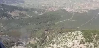 Denizli: Son dakika haberleri: Orman yangınıyla ilgili gözaltına alınan 2 kişi serbest bırakıldı Denizli: Son dakika haberleri: Orman yangınıyla ilgili gözaltına alınan 2 kişi serbest bırakıldı