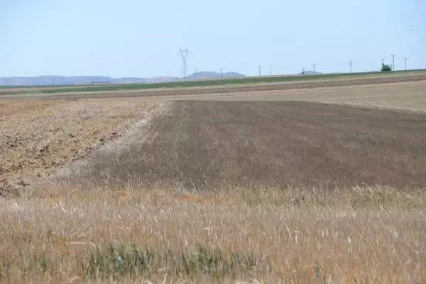 Üç bölgede 'olağanüstü' kuraklık Üç bölgede 'olağanüstü' kuraklık
