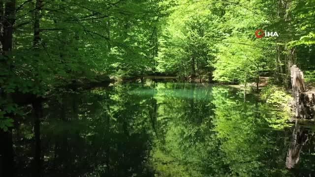 Son dakika haber... Yeşilin tüm tonlarını barındıran Yedigöller'de görsel şölen Son dakika haber... Yeşilin tüm tonlarını barındıran Yedigöller'de görsel şölen