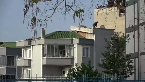 SAMSUN TABANCAYLA BAYRAM KUTLAYAN MAGANDA KENDİNİ VE ARKADAŞINI YARALADI SAMSUN TABANCAYLA BAYRAM KUTLAYAN MAGANDA KENDİNİ VE ARKADAŞINI YARALADI