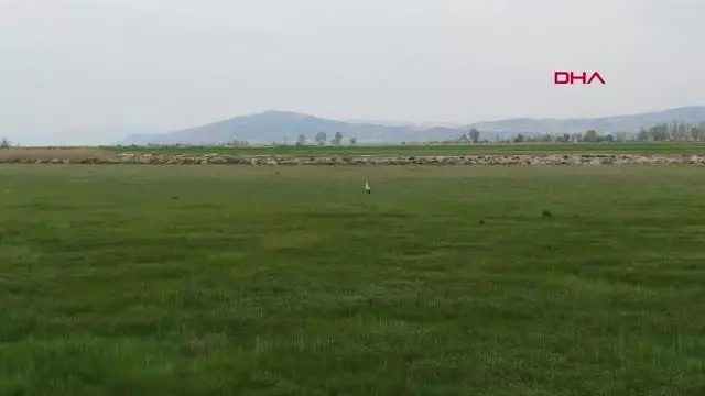 BURDUR'DA DÜNYA GÖÇMEN KUŞLAR GÜNÜ ETKİNLİĞİ BURDUR'DA DÜNYA GÖÇMEN KUŞLAR GÜNÜ ETKİNLİĞİ