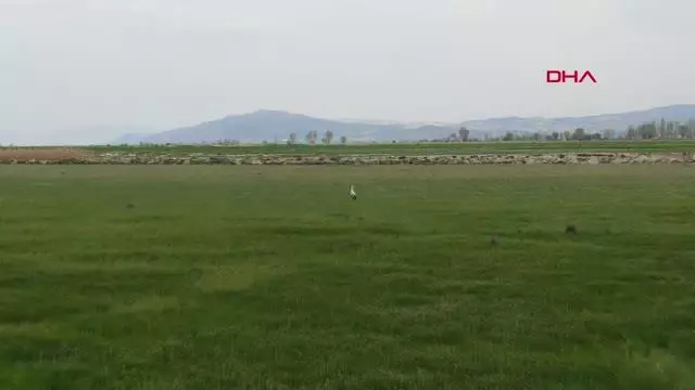 BURDUR'DA DÜNYA GÖÇMEN KUŞLAR GÜNÜ ETKİNLİĞİ BURDUR'DA DÜNYA GÖÇMEN KUŞLAR GÜNÜ ETKİNLİĞİ