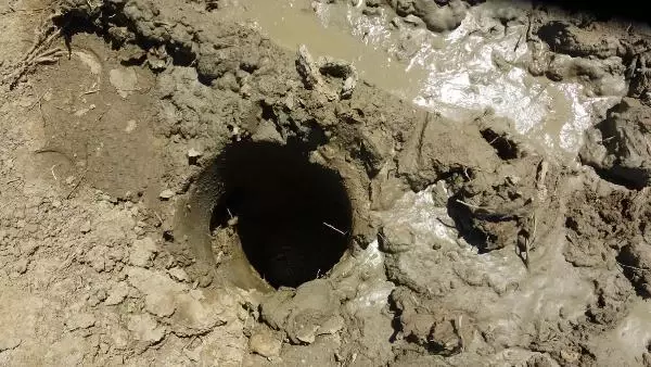 Büyük Menderes kuruyunca çiftçiler yer altı sularına yöneldi Büyük Menderes kuruyunca çiftçiler yer altı sularına yöneldi