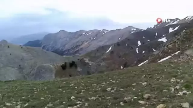 Dünya rekortmeni, Murat Dağı'nda Dünya rekortmeni, Murat Dağı'nda