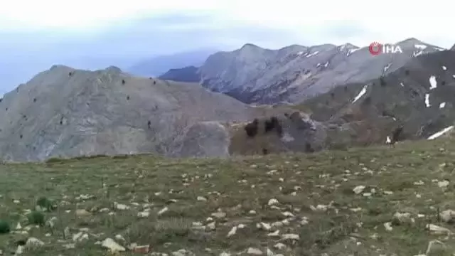 Dünya rekortmeni, Murat Dağı'nda Dünya rekortmeni, Murat Dağı'nda
