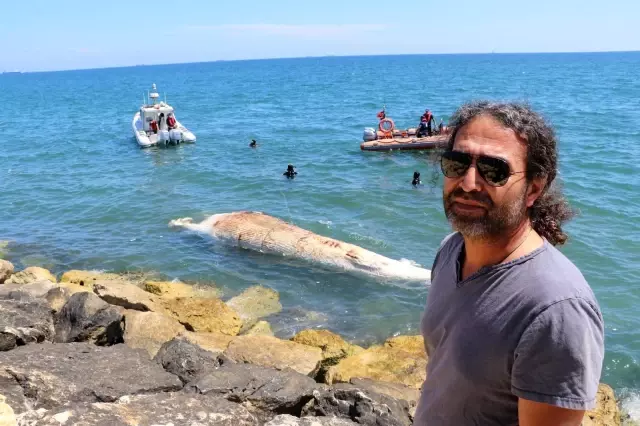 Mersin'de sahil güvenlik ekipleri kıyıya vurmuş şekilde buldu! Dünyanın iki numarası Mersin'de sahil güvenlik ekipleri kıyıya vurmuş şekilde buldu! Dünyanın iki numarası