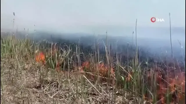 Son dakika haber | Eber Gölü'nde yangın Son dakika haber | Eber Gölü'nde yangın