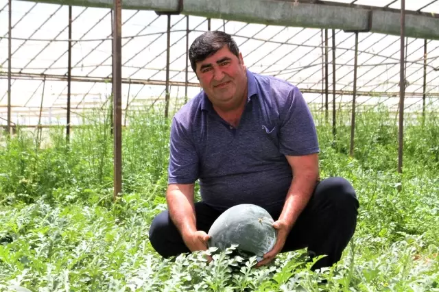 Kardeşini kanserden kaybeden çiftçi, doğal yollardan kekik aromalı karpuz üretti Kardeşini kanserden kaybeden çiftçi, doğal yollardan kekik aromalı karpuz üretti