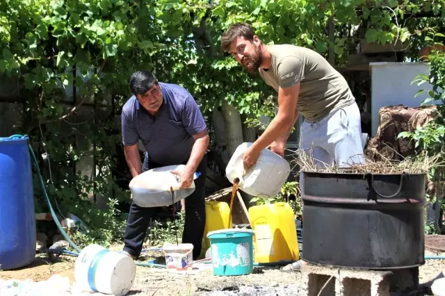 Kardeşini kanserden kaybeden çiftçi, doğal yollardan kekik aromalı karpuz üretti Kardeşini kanserden kaybeden çiftçi, doğal yollardan kekik aromalı karpuz üretti