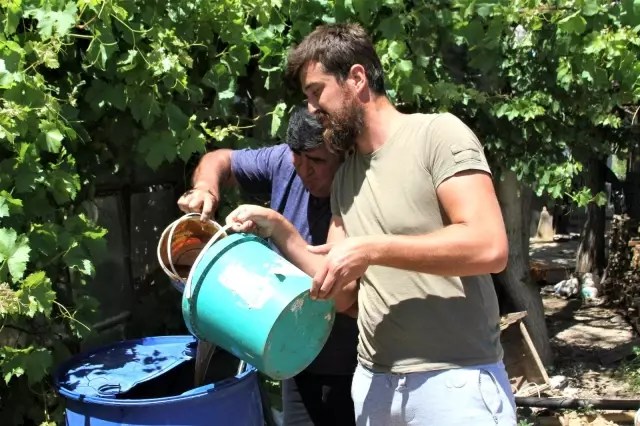 Kardeşini kanserden kaybeden çiftçi, doğal yollardan kekik aromalı karpuz üretti Kardeşini kanserden kaybeden çiftçi, doğal yollardan kekik aromalı karpuz üretti