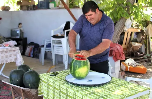 Kardeşini kanserden kaybeden çiftçi, doğal yollardan kekik aromalı karpuz üretti Kardeşini kanserden kaybeden çiftçi, doğal yollardan kekik aromalı karpuz üretti