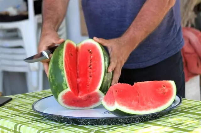 Kardeşini kanserden kaybeden çiftçi, doğal yollardan kekik aromalı karpuz üretti Kardeşini kanserden kaybeden çiftçi, doğal yollardan kekik aromalı karpuz üretti