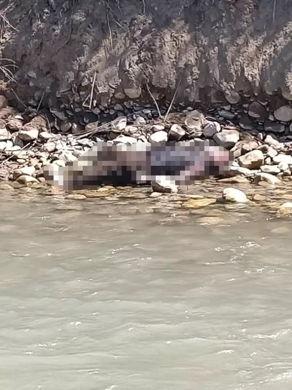 Acı tesadüf! Mevlit okutmaya geldi, annesinin boğulduğu ırmağın kıyısında ölü bulundu Acı tesadüf! Mevlit okutmaya geldi, annesinin boğulduğu ırmağın kıyısında ölü bulundu