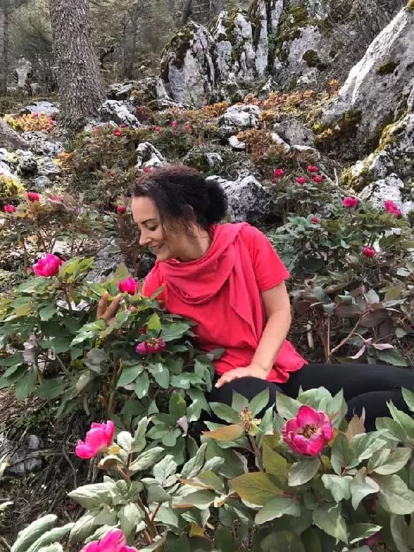 Ender görülen bitki türlerinden olan şakayıkları koparmanın cezası 80 bin lira