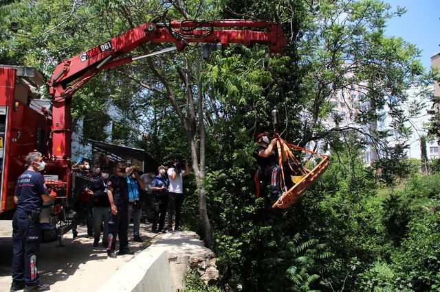 Düştüğü derede 5 gün boyunca ölüm kalım mücadelesi verdi, kurtulunca tek bir şey istedi