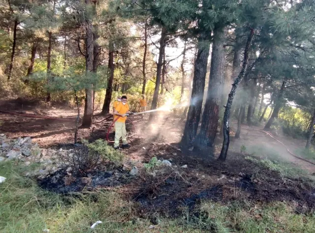 Kısıtlamada mangal keyfi ormanı yaktı Kısıtlamada mangal keyfi ormanı yaktı
