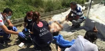 Antalya: Muz serasında çalışan Afgan genç, serinlemek için girdiği havuzda boğularak can verdi Antalya: Muz serasında çalışan Afgan genç, serinlemek için girdiği havuzda boğularak can verdi