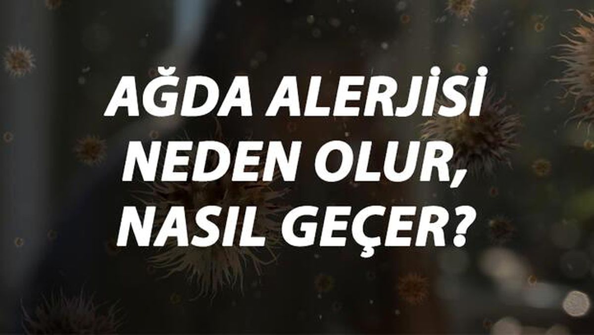 Ağda Alerjisi Nedir, Neden Olur ve Nasıl Geçer? Ağda Alerjisi Belirtileri ve Tedavisi Hakkında Bilgi