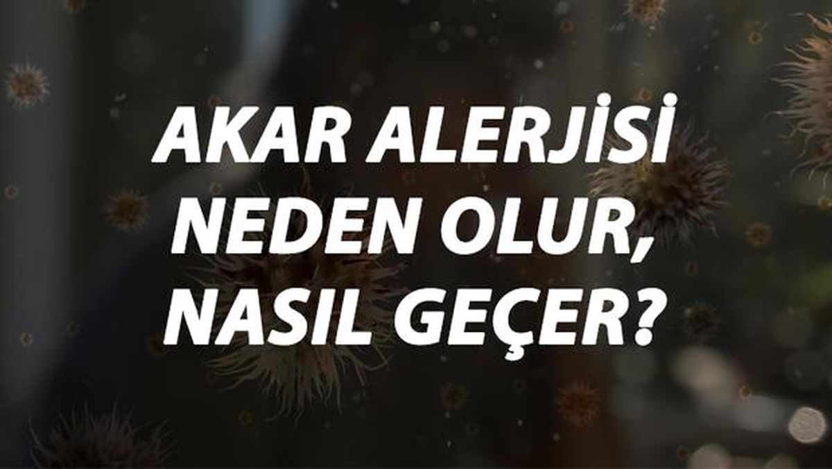 Akar Alerjisi Nedir, Neden Olur ve Nasıl Geçer? Ev Akarı Alerjisi Belirtileri ve Tedavisi Hakkında Bilgi