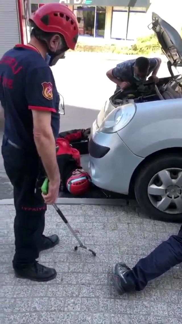 aracin motoruna sikisan yavru kediyi itfaiye 14133972 o