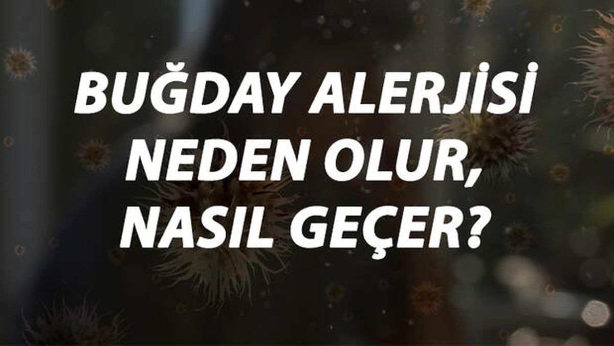 Buğday Alerjisi Nedir, Neden Olur ve Nasıl Geçer? Buğday Alerjisi Belirtileri ve Tedavisi Hakkında Bilgi