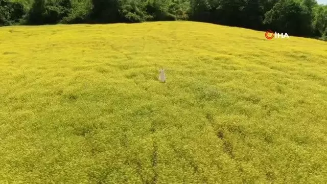 doganin altin renkli studyosu gorenleri mest 4 14133290 o