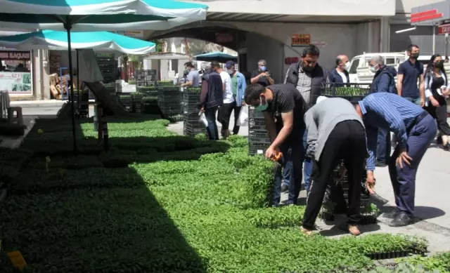 Erzincan'da 3 yerde semt pazarı kuruldu Erzincan'da 3 yerde semt pazarı kuruldu