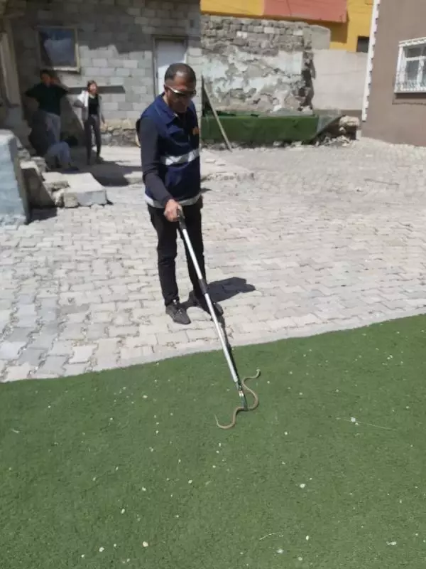 Son dakika haberi: Evin bahçesindeki yılanı itfaiye görevlisi yakaladı Son dakika haberi: Evin bahçesindeki yılanı itfaiye görevlisi yakaladı
