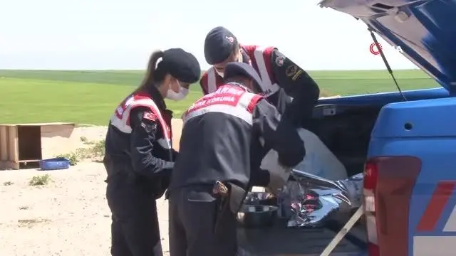 Jandarma yüzlerce sokak hayvanını elleriyle besledi