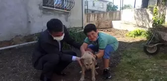 Adnan Turan: Kandıra Belediye Başkanı Turan'dan hayvansever çocuğa köpek yavrusu sürprizi Adnan Turan: Kandıra Belediye Başkanı Turan'dan hayvansever çocuğa köpek yavrusu sürprizi
