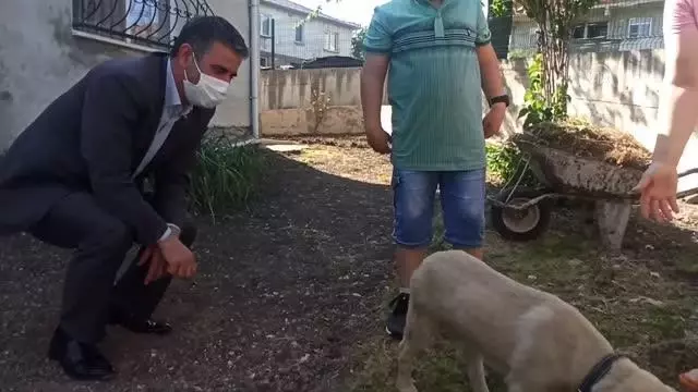 Kandıra Belediye Başkanı Turan'dan hayvansever çocuğa köpek yavrusu sürprizi Kandıra Belediye Başkanı Turan'dan hayvansever çocuğa köpek yavrusu sürprizi