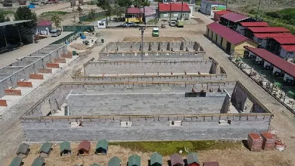 Son dakika haberleri: KARADENİZ'İN KAPSAMLI HAYVAN HASTANESİNDE SONA GELİNDİ Son dakika haberleri: KARADENİZ'İN KAPSAMLI HAYVAN HASTANESİNDE SONA GELİNDİ
