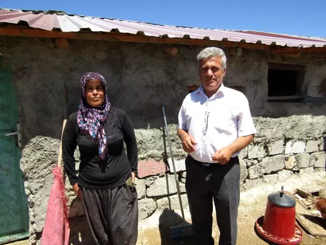 Köpekler 280 tavuğu parçaladı Köpekler 280 tavuğu parçaladı
