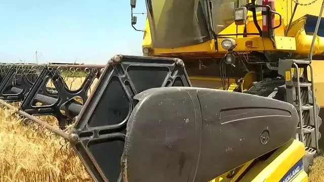 Kozan'da buğday hasadına başlandı Kozan'da buğday hasadına başlandı