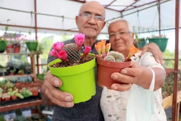 Meme kanserine yakalanan eşi için 1200 kaktüslü hobi bahçesi kurdu Meme kanserine yakalanan eşi için 1200 kaktüslü hobi bahçesi kurdu