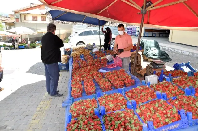 Pazarcı esnafı tezgahlarını açtı Pazarcı esnafı tezgahlarını açtı