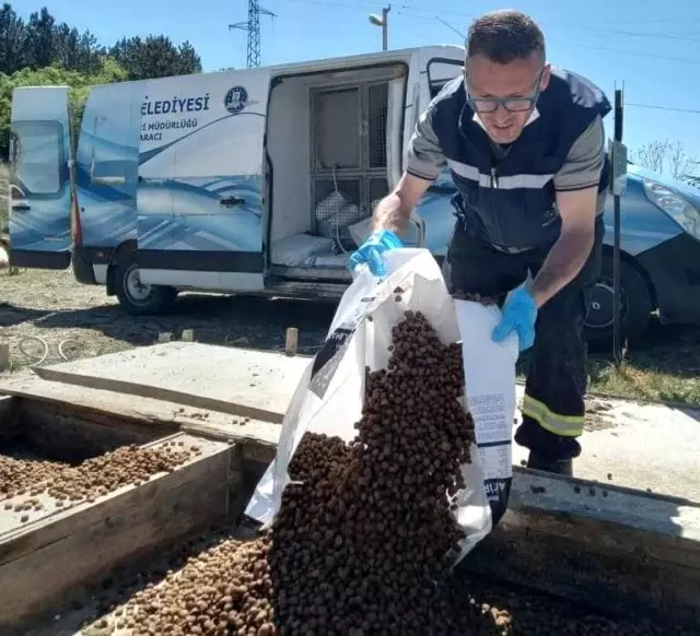 Tam kapanmada sokak hayvanları unutmadı Tam kapanmada sokak hayvanları unutmadı