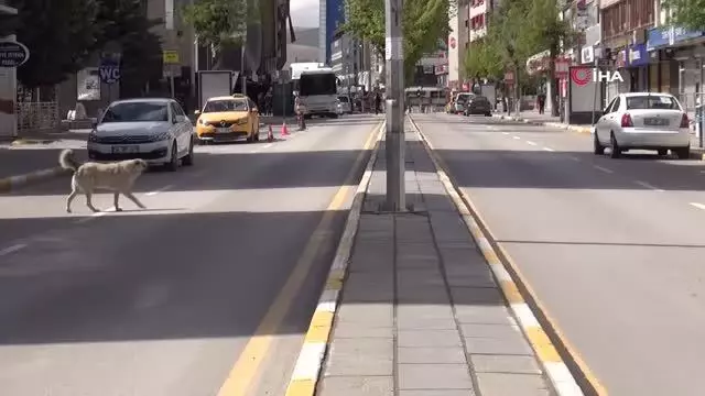 - Van'da tam kapanma sessizliği - Van'da tam kapanma sessizliği