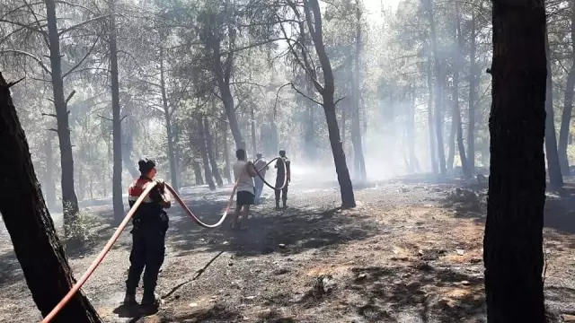 2 hektarlık alanın kül olduğu orman yangını büyümeden söndürüldü 2 hektarlık alanın kül olduğu orman yangını büyümeden söndürüldü